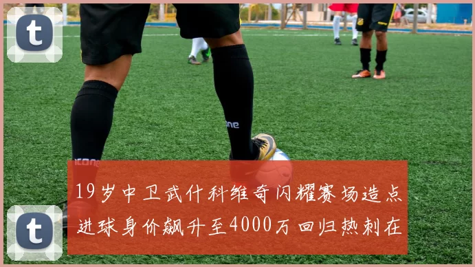19岁中卫武什科维奇闪耀赛场造点进球身价飙升至4000万回归热刺在即