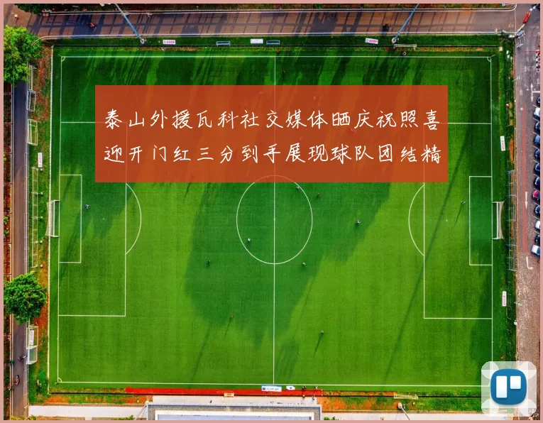 泰山外援瓦科社交媒体晒庆祝照喜迎开门红三分到手展现球队团结精神