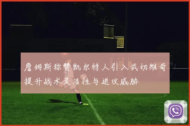 詹姆斯称赞凯尔特人引入武切维奇提升战术灵活性与进攻威胁