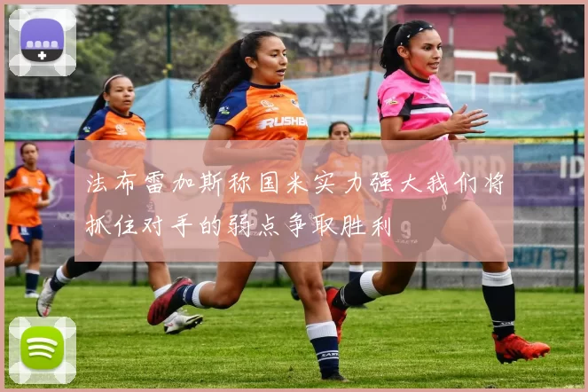 法布雷加斯称国米实力强大我们将抓住对手的弱点争取胜利